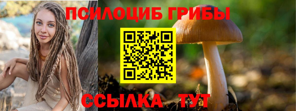 Юрга  Галлюциногенные грибы ЛСД  Вход с VPN  Галлюциногенные грибы мицелий 